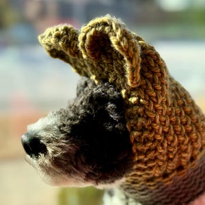 Zauberhafter Bär Handgestrickter Rundschal für Hunde