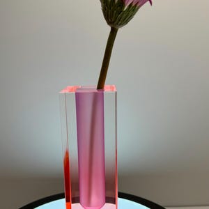 Könnte beinhalten: Eine klare, rechteckige Vase mit rosa Innenraum hält eine einzelne Gerbera. Die Blume hat rosa und weiße Blütenblätter und einen grünen Stiel. Die Vase besteht aus einem transparenten Material mit rosa Farbton.