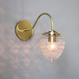Brass Gooseneck Sconce Lamp, Modern Wall Mounted Sconce Lighting Fixture, Textured Acorn Glass Shade, Brass or Black, Wire In or Plug In