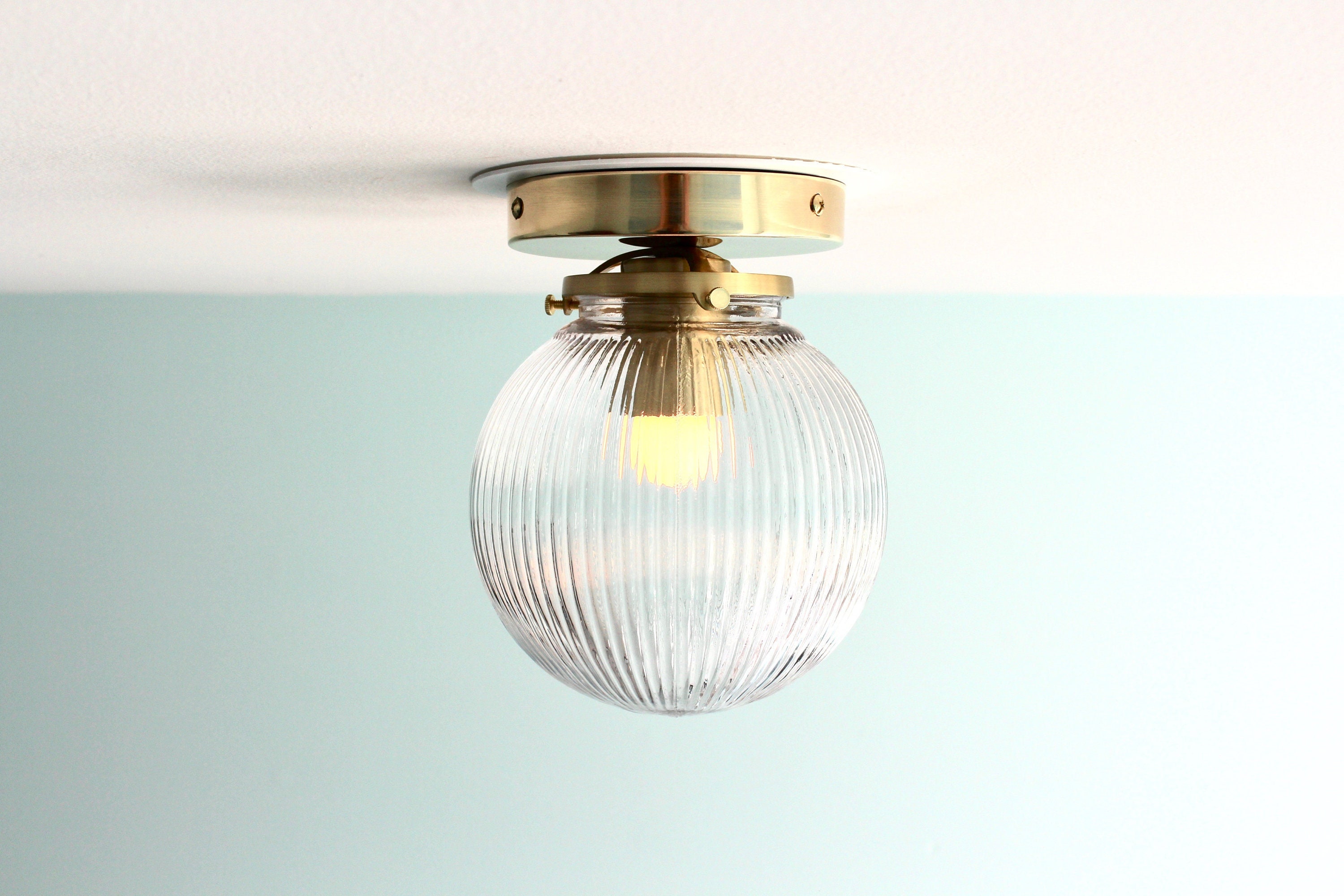 Globe flush 2024 ceiling light