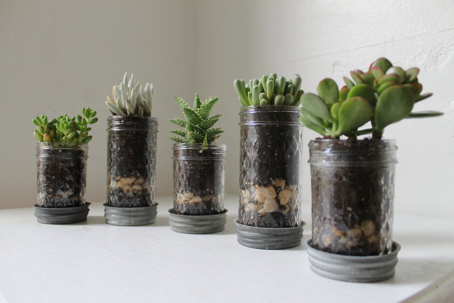 Mason Jar Planters With Drainage Set of 5 Upcycled Jelly Etsy