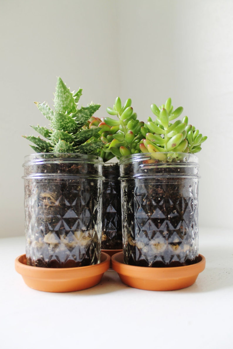 Mason Jar Planter Trio with Drainage UpCycled Quilted Jelly Etsy