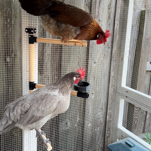 Percha para pollos con comedero para golosinas: Barras de descanso ajustables. Se instala fácilmente en el gallinero.