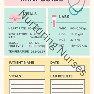 May include: A medical reference guide titled "VITALS & LABS MINI GUIDE" with vital signs and lab results. The guide includes normal ranges for heart rate, respiratory rate, blood pressure, and temperature. The guide is branded with the text "Nurturing Nurses".