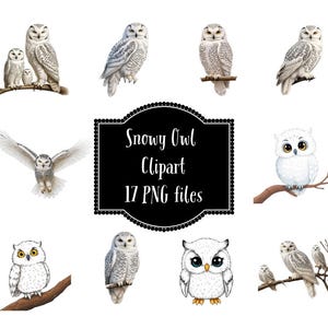 Harfang des neiges PNG Clipart téléchargement numérique instantané amateur d'oiseaux de proie PNG pour un usage personnel et commercial