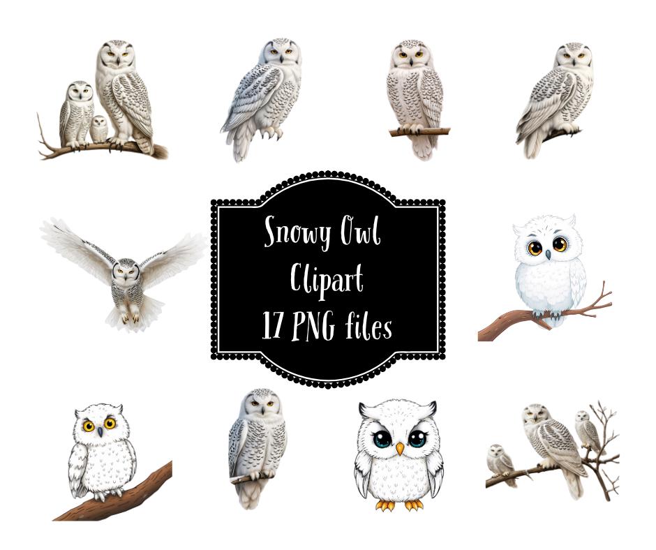 Snowy Owl PNG Clipart Instant Digital Download Bird of Prey Lover PNG for Personal and Commercial Us