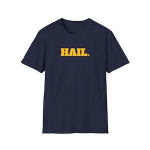 University of Michigan, Michigan T-Shirt, Michigan Fan Tee, College Sports Apparel, Tailgate Shirt, Game Day Top, GO BLUE, Michigan T-Shirt