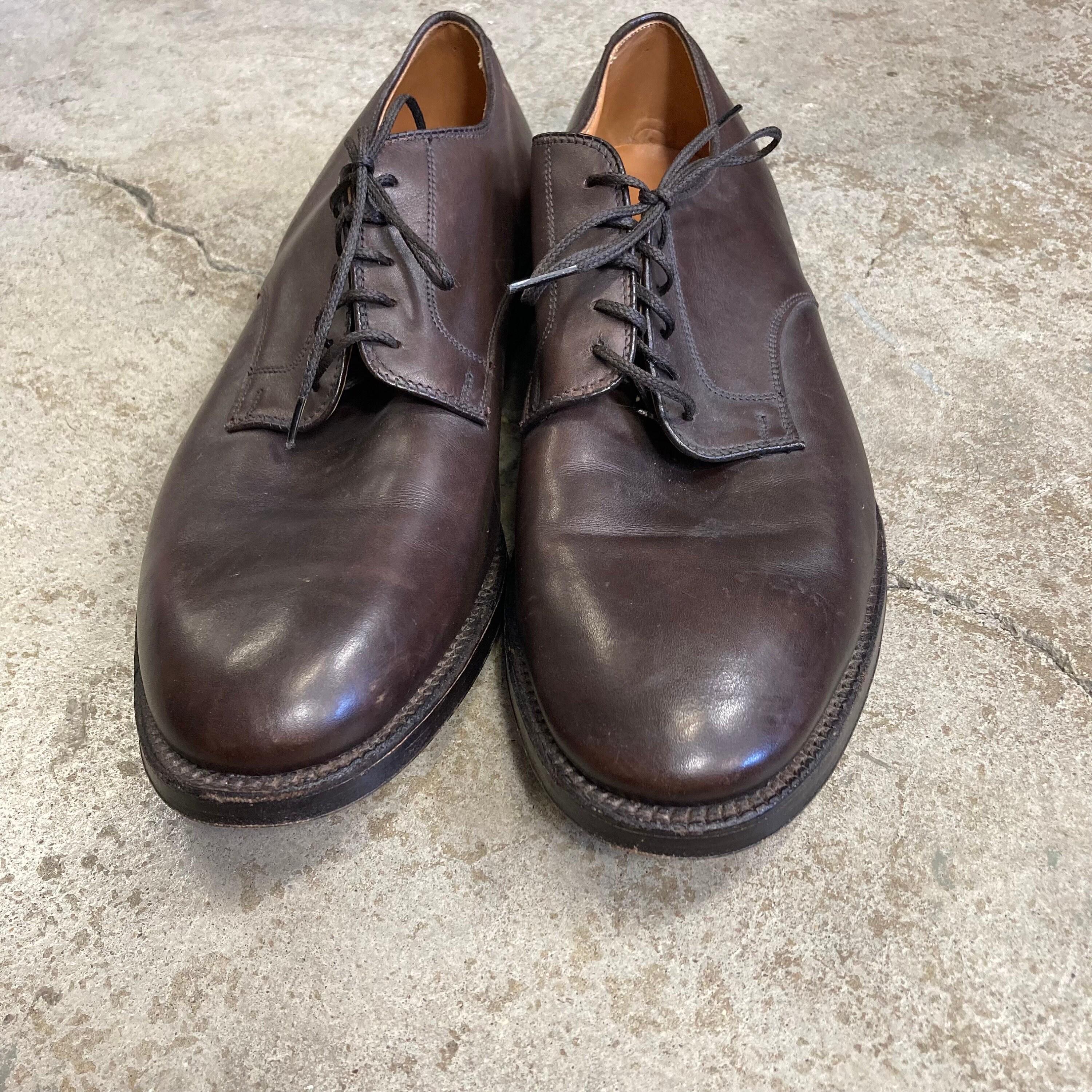 Alden 969 Plain Toe Dark Brown Leather Shoes Men's 12 B/D