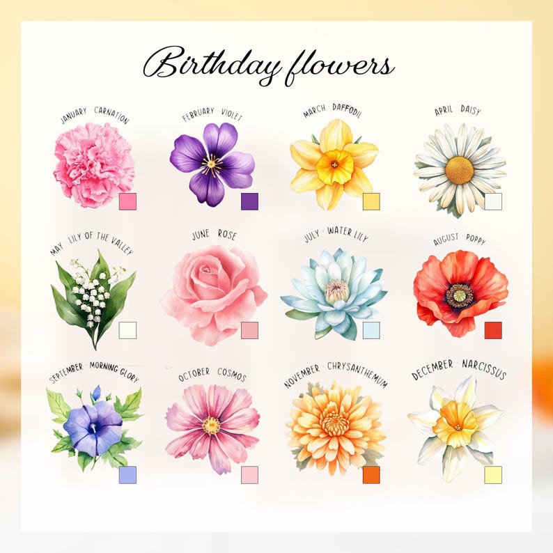 May include: A chart of birth month flowers with watercolour illustrations of each flower. The flowers are arranged in a grid with the month and flower name listed below each flower. The flowers include carnation, violet, daffodil, daisy, lily of the valley, rose, water lily, poppy, morning glory, cosmos, chrysanthemum, and narcissus.