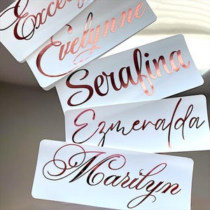 May include: White rectangular labels with rose gold cursive text. The labels display names: Evelynne, Serafina, Ezmeralda, and Marilyn. The labels are slightly overlapping, creating a layered effect. The background is a light, reflective surface.