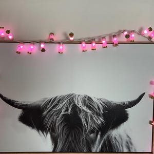 Shotgun Shell Lights Pink