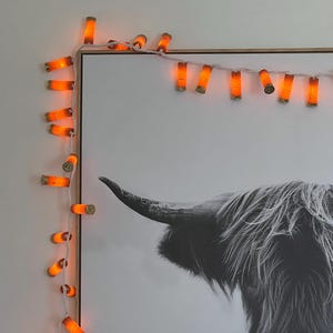 Shotgun Shell Lights Orange