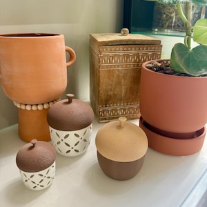 Acorn Containers with Lids, Boho Woodland Decor, Farmhouse Decor, Unique housewarming gift, Acorn Decor, Modern Farmhouse Table Decor