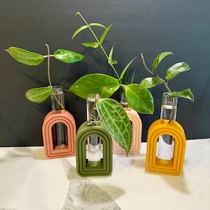 Plant Propagation Station, Arched Plant Propagation, Propagating Tubes, Plant Propagation, Boho Room Decor, Boho Rainbow, Minimalist Decor