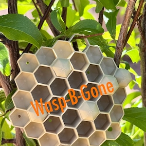 May include: A beige, honeycomb-shaped wasp nest decoy hanging among green leaves and branches. The text "Wasp-B-Gone" is in orange, and the text "Realistic + Chemical Free!" is in black.