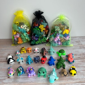 Flexi Fidget Pocket Pet Bags