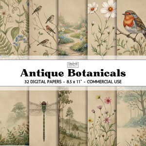 May include: A collection of 32 digital papers with antique botanical designs. The papers feature illustrations of birds, flowers, and landscapes. Each paper measures 8.5 x 11 inches and is for commercial use. The color palette includes beige, green, and brown.