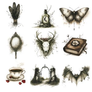 May include: A set of nine black and white illustrations featuring various gothic and macabre imagery, including a skull with antlers, a book with a flower, a bat, a mirror, a bottle with a skull, a gate, a cup of coffee, and a feather bundle.