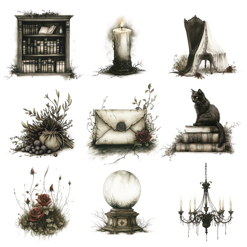 May include: A collection of nine black and white illustrations featuring various gothic and magical objects, including a bookshelf, a candle, a chair, a letter, a cat, a stack of books, a rose bush, a crystal ball, and a chandelier.