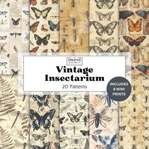 Vintage Style Insectarium Digital Paper Vintage Entomology Butterfly Beetle Seamless Pattern Nature Insect Print Junk Journal & Scrapbooking