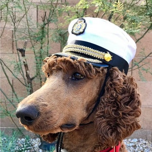 dog captain hat