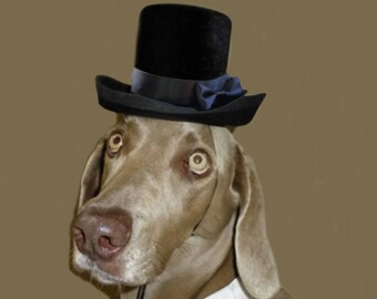 top dog hat