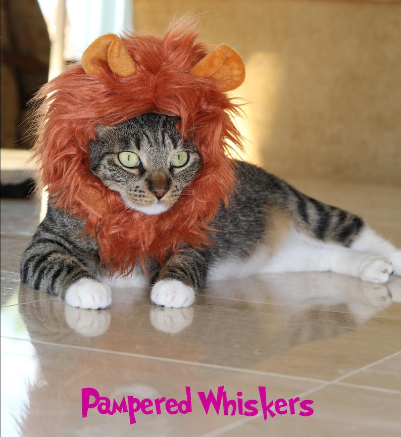 Lion Costume Hat for Cats and Dogs