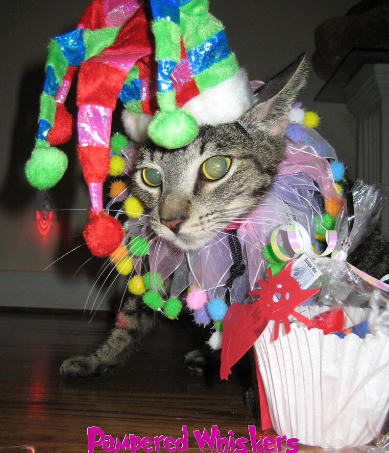 Jolly Jester hat for cats and dogs with Lifes a Ball party Etsy