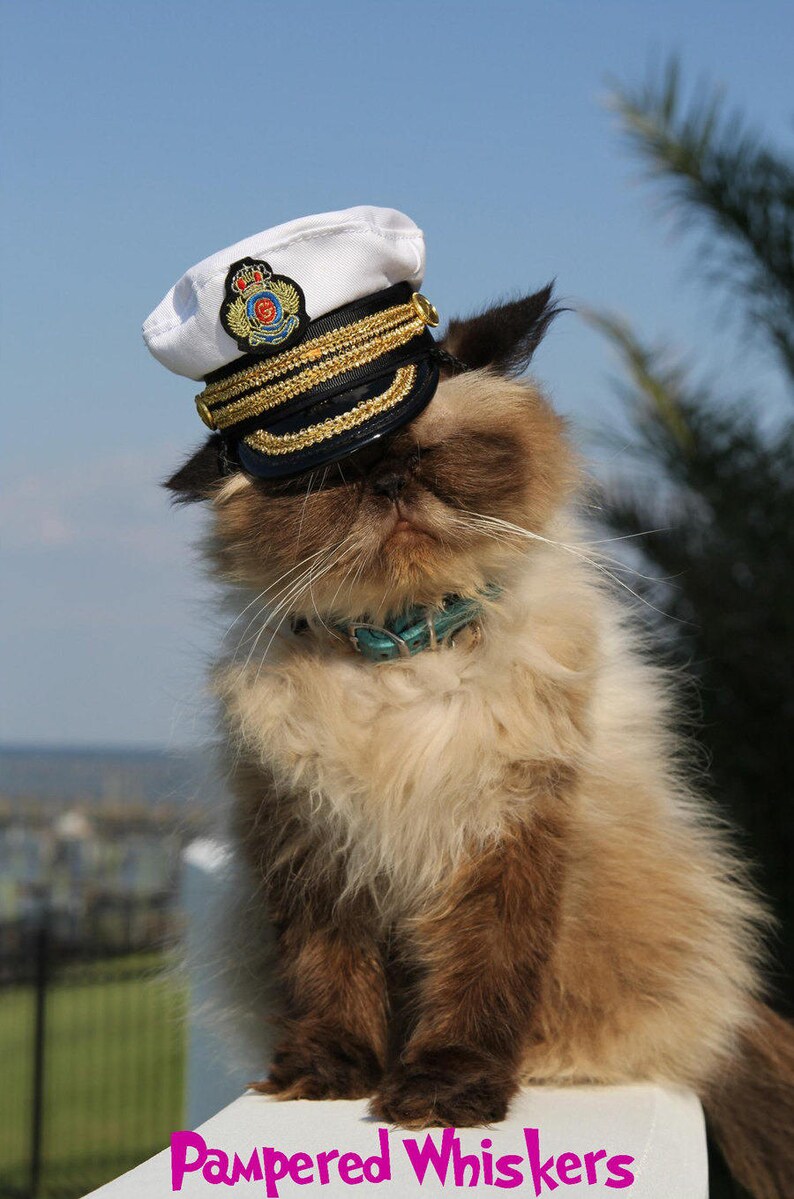 Katze Kapitän HutHund Marine Mütze für Katzen und Hunde Etsy