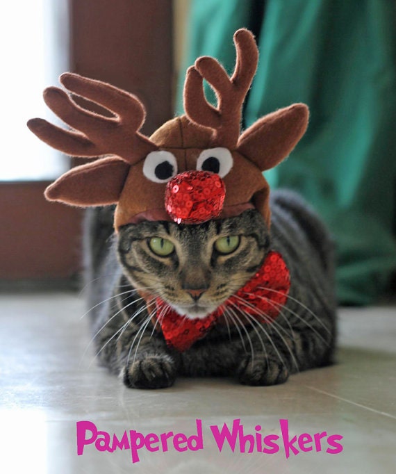 cat reindeer costume