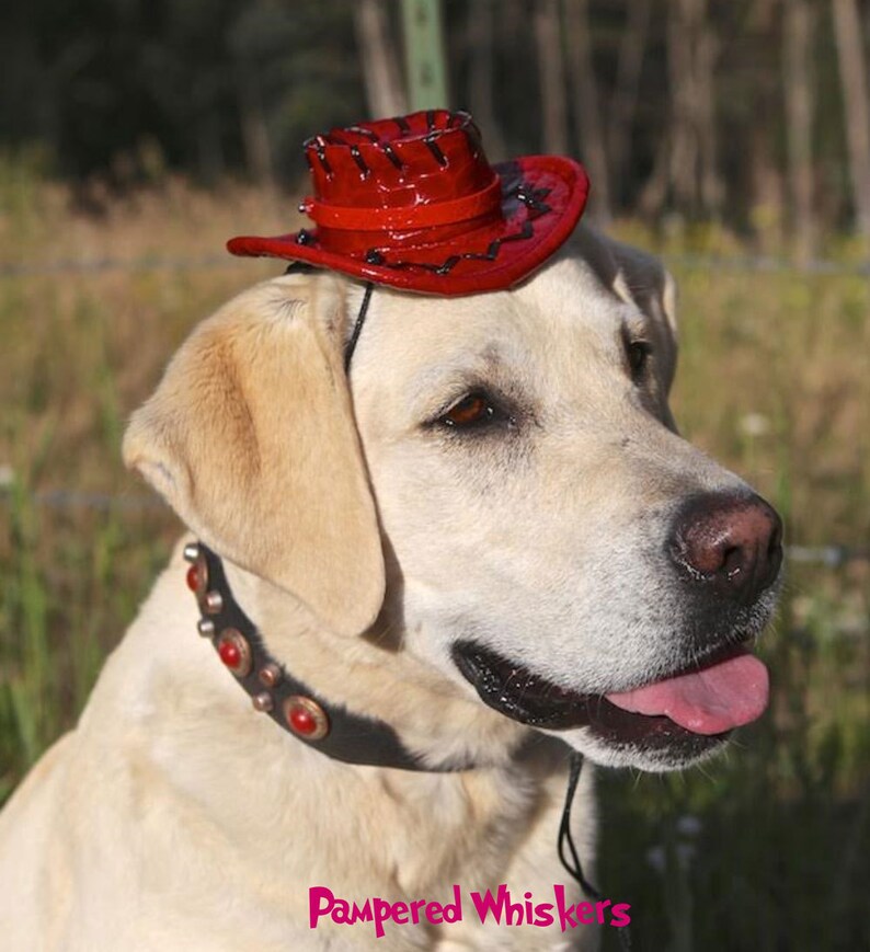 Dog/_Cat Cowboy hat Cowboy hat /_costume for dogs and catsRed/_Tan/_Black Cowboy HatMiniature Cowboy Hat