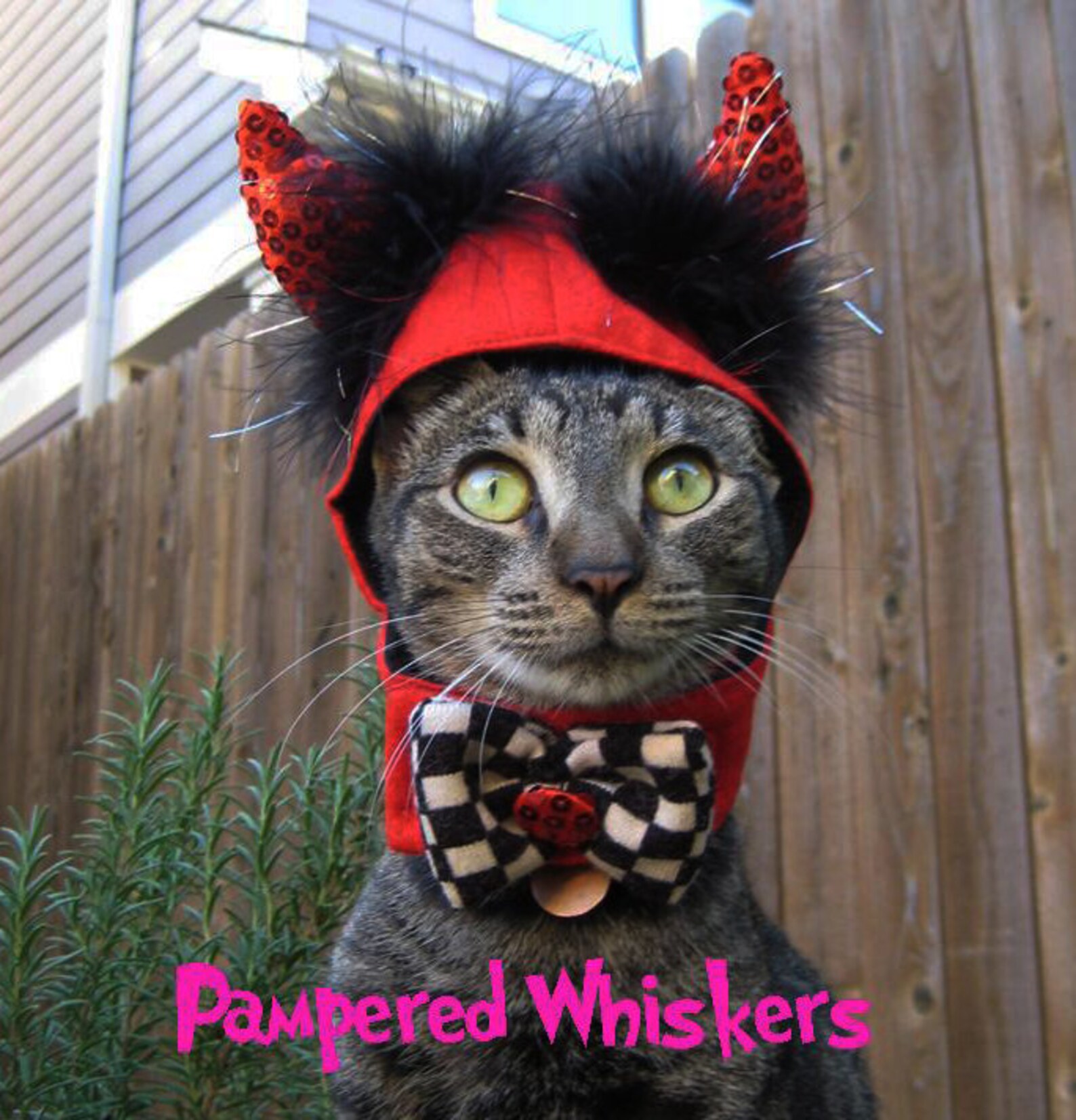 Little Devil Costume for Dog or Cat Etsy