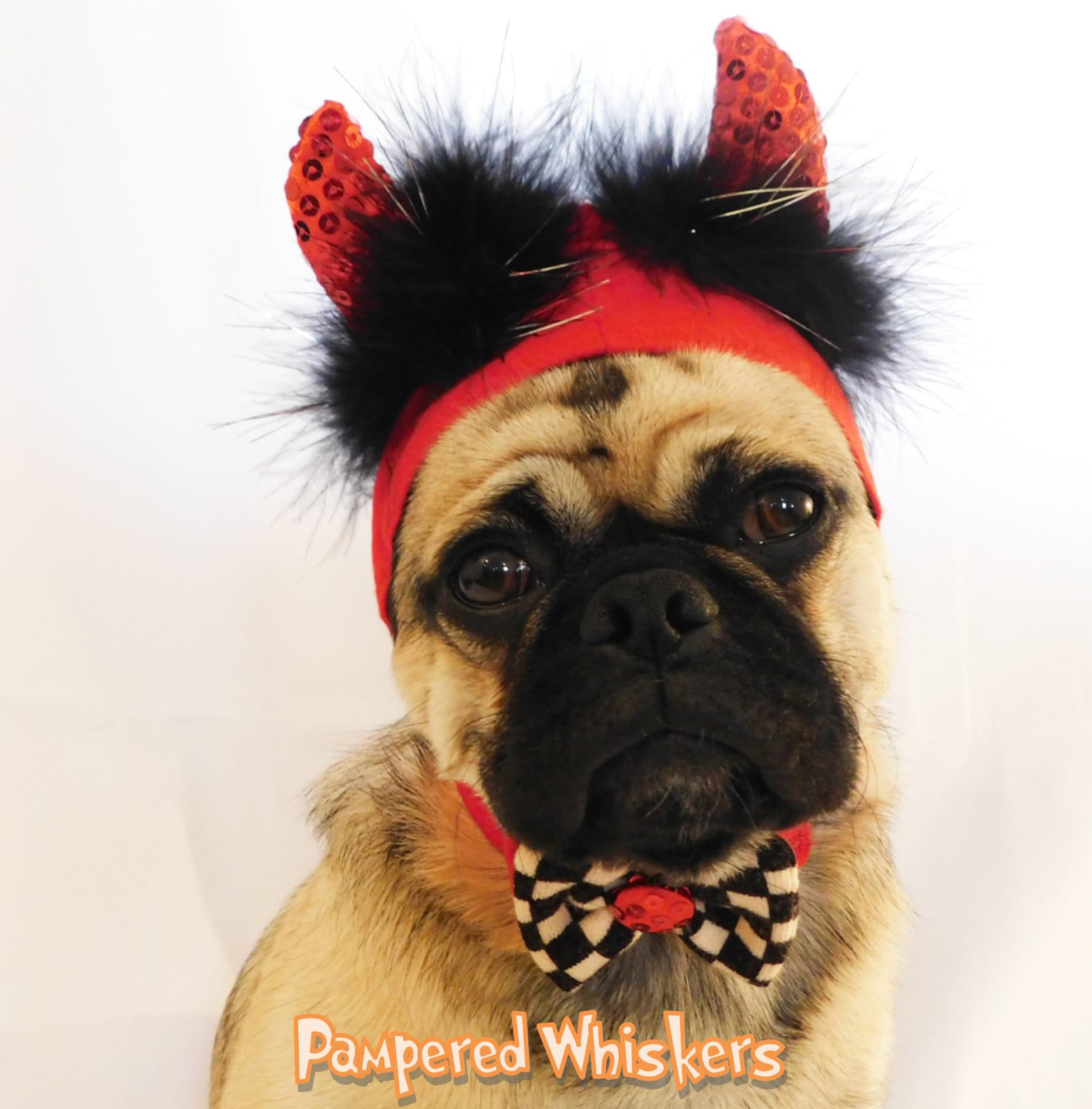 Dog Devil Costume Cat Devil Costume Devil Hat for Etsy