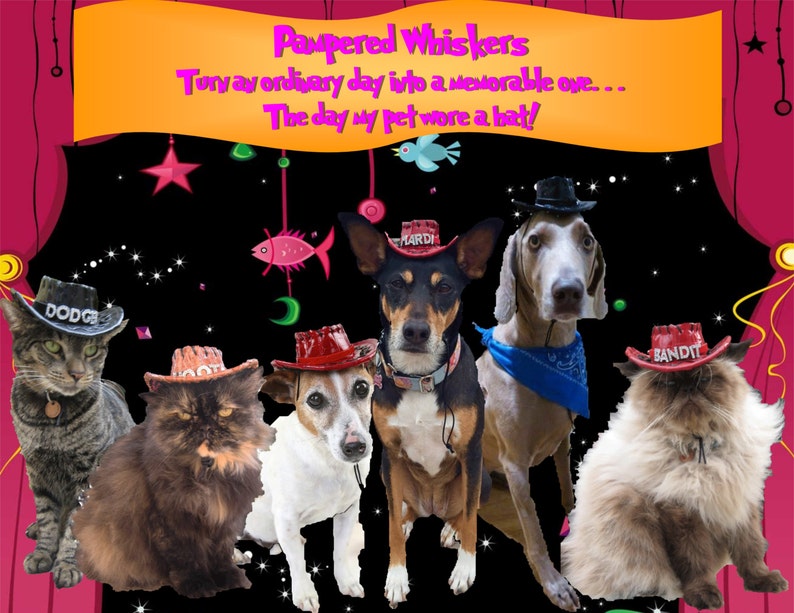 Dog/_Cat Cowboy hat Cowboy hat /_costume for dogs and catsRed/_Tan/_Black Cowboy HatMiniature Cowboy Hat