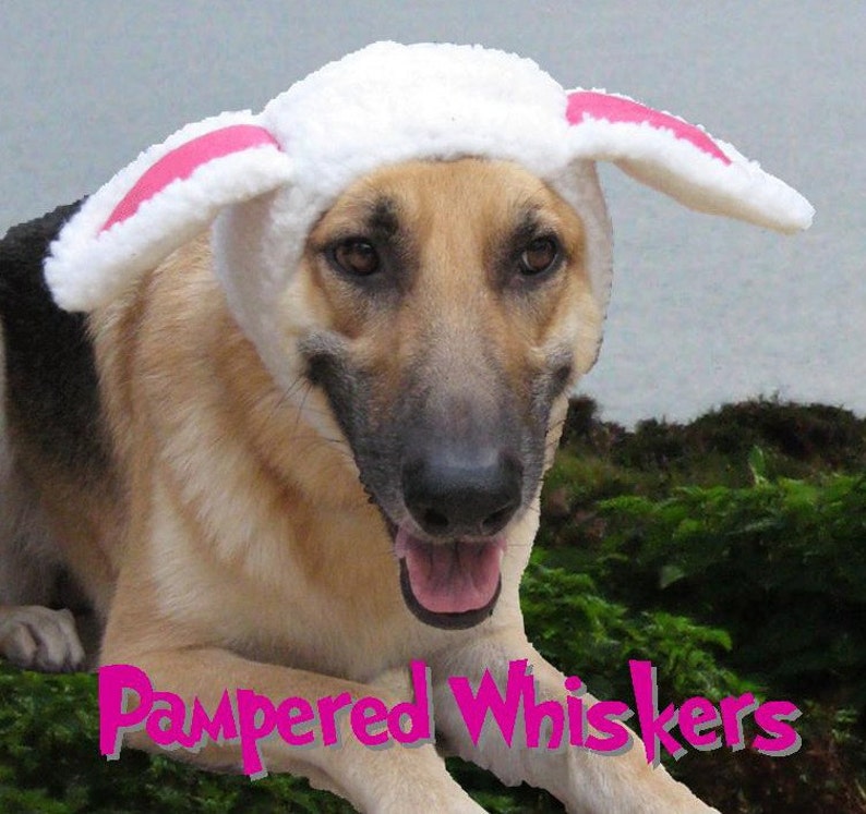 Schaf Kostüm verlegen einen Hut für Hunde und Katzen Etsy