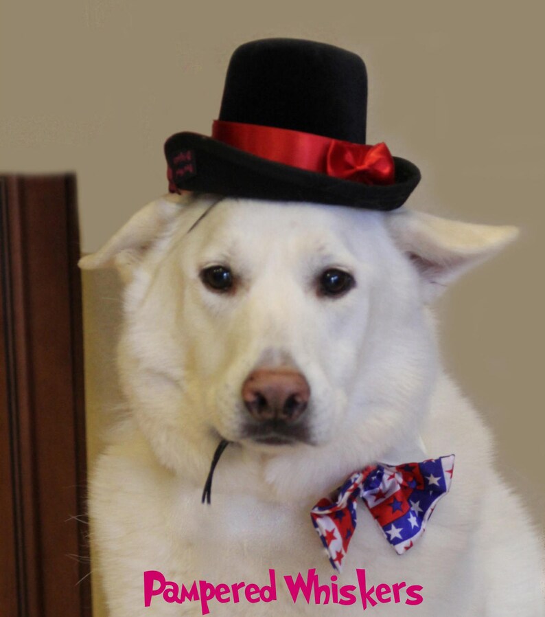 Dog Top Hat the Aristocrat Top Hat for Dogs and Catsyour Etsy