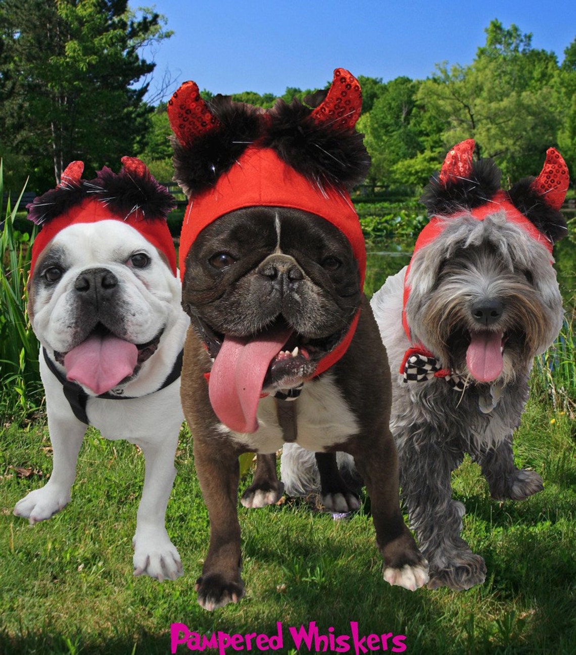 Little Devil Costume for Dog or Cat Etsy