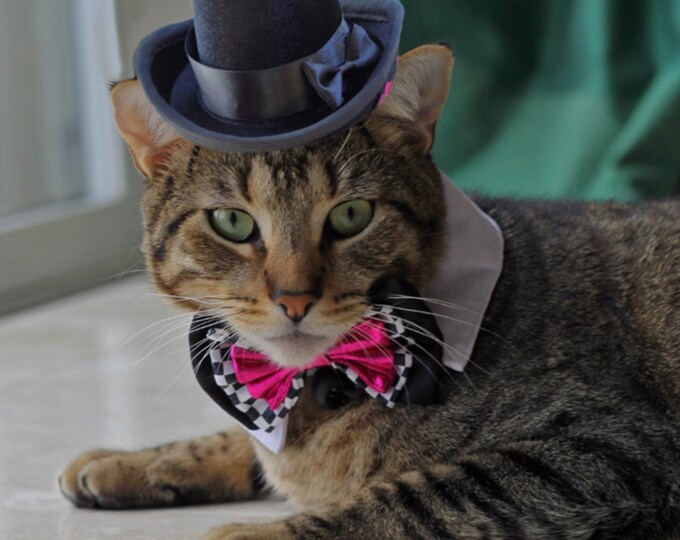 Cat Top Hat Dog Top Hat Wedding Top Hat Dogs and Cats the Etsy