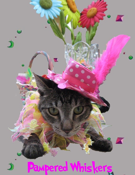 cat easter outfit