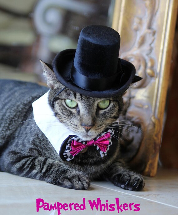 Cat Top Hat for Cats dogs the Aristocrat Black Top Hat Etsy