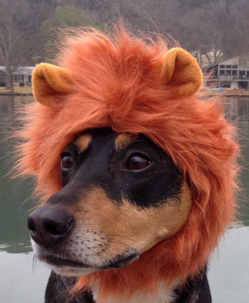 Lion Costume Hat for Cats and Dogs