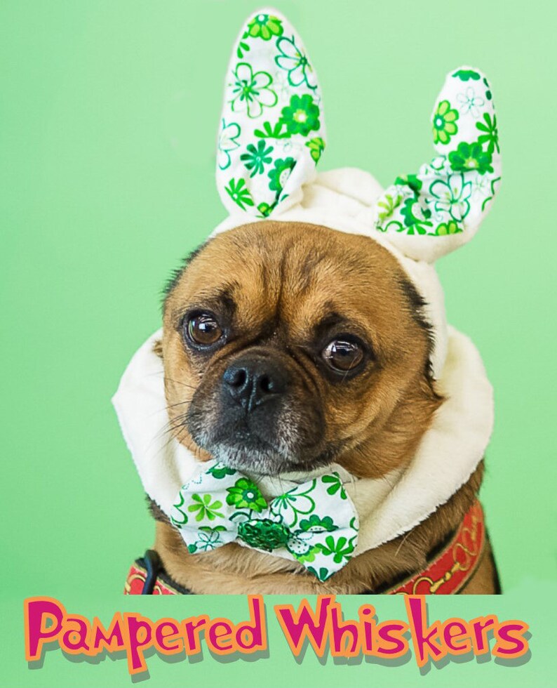 Dog_Cat Bunny Ears_Easter Hat/Dog_Cat Rabbit Costume_ Etsy