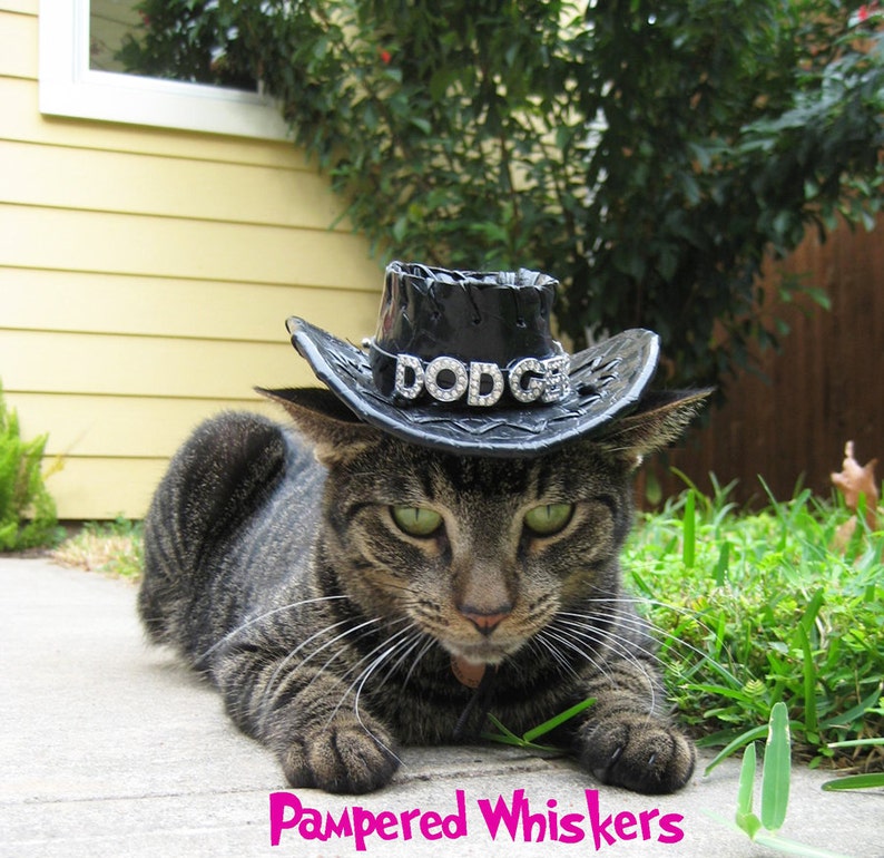 personalized red/_black/_ tan Cowboy Hat for Dogs and Cats Dog/_Cat Cowboy hat for cats and dogs