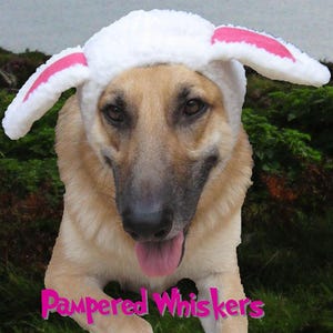 sheep outfit for dog