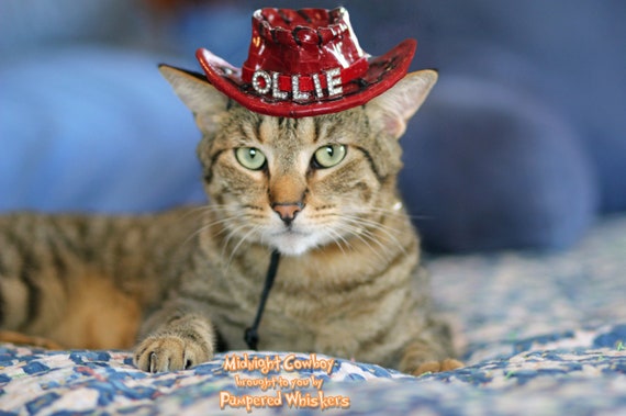 Chapeau danniversaire de chat Chapeau de fête de chat | Etsy