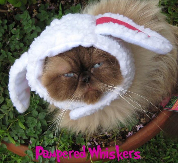 Costume De Mouton Pour Chats Et Chiens Etsy
