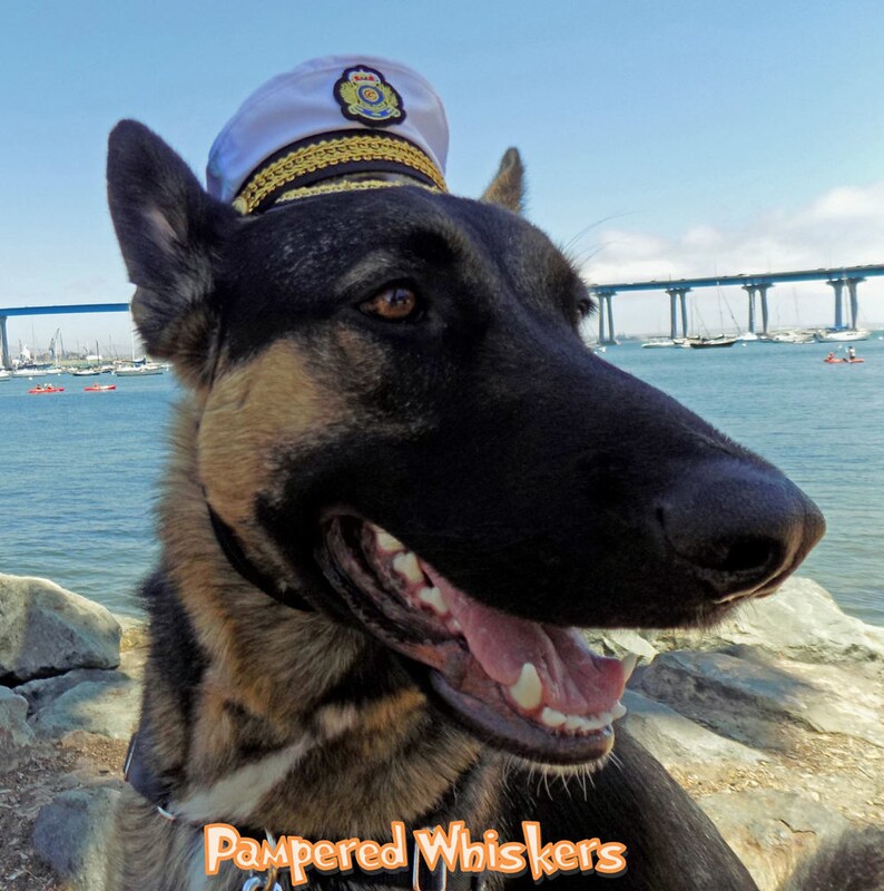 Captain hat for dogs and cats Etsy