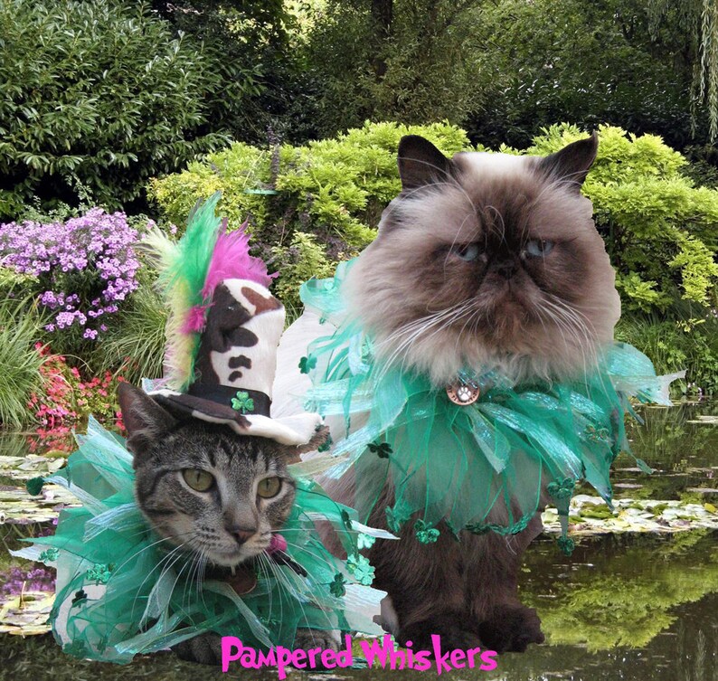 Cat Shamrock Hat Cat Shamrock Party Collar Cat St. Etsy
