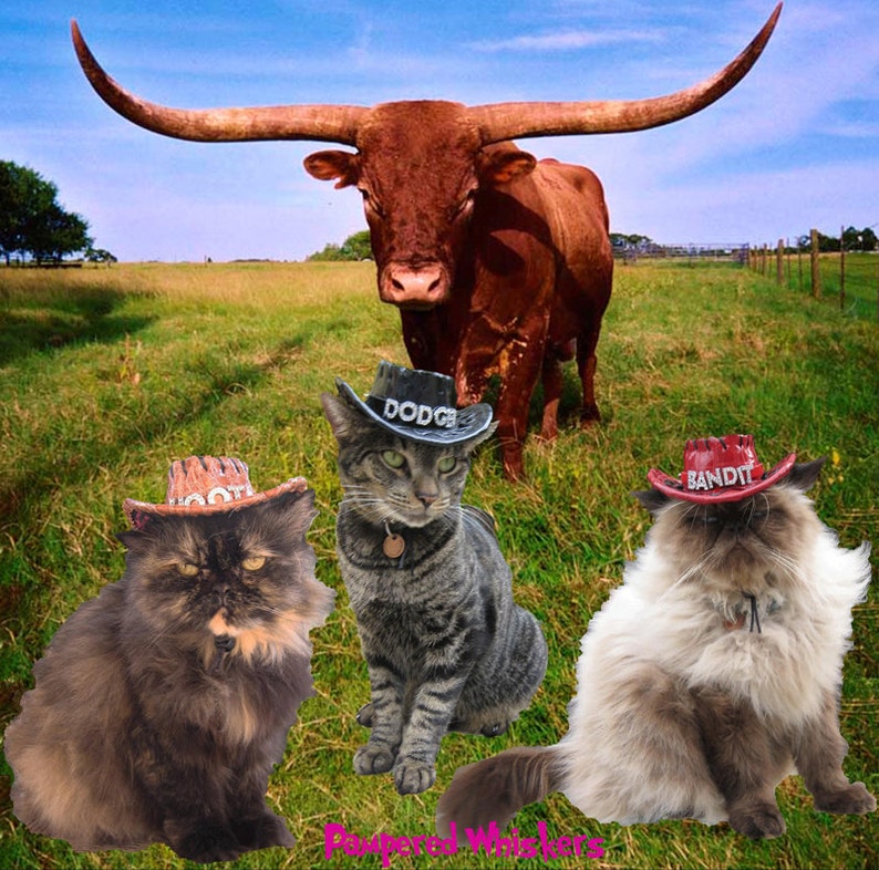 personalized red/_black/_ tan Cowboy Hat for Dogs and Cats Dog/_Cat Cowboy hat for cats and dogs