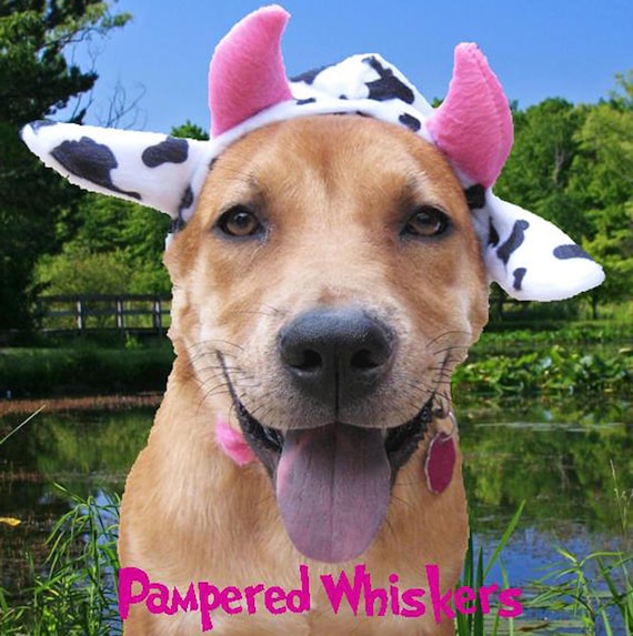  Mad  Cow Costume  for Dogs  and Cats Etsy
